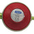 Propane Regulator, Hose & Clip Kit