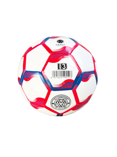 VIPER Size 3 Training Football