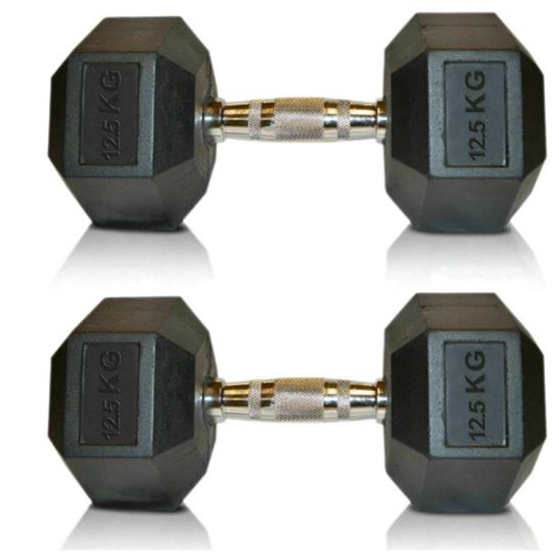 Viper Hex Dumbbells Cast Iron Weights Hexagonal Dumbbell Rubber Encased Gym Fitness