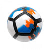 Premier League Football Soccer Balls design