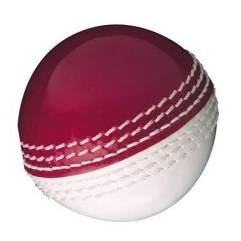 PLASTIC CRICKET TRAINING BALL
