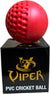 Viper Swing and Spin Training Cricket Ball